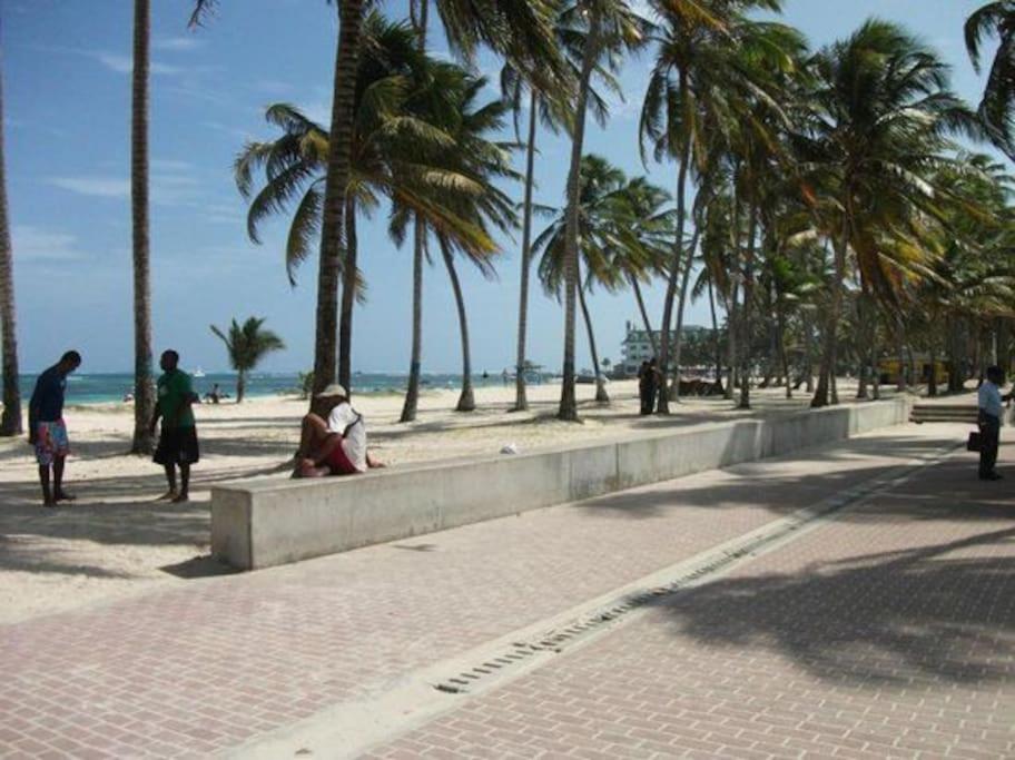 Apartment A Dos Cuadras De Sprattbight San Andres (San Andres and Providencia Islands)